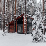 Affittare casa per Natale e Capodanno