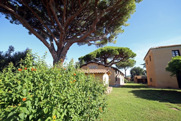 Agriturismo il Vignone (Appartamento da 4 Ospiti C1)