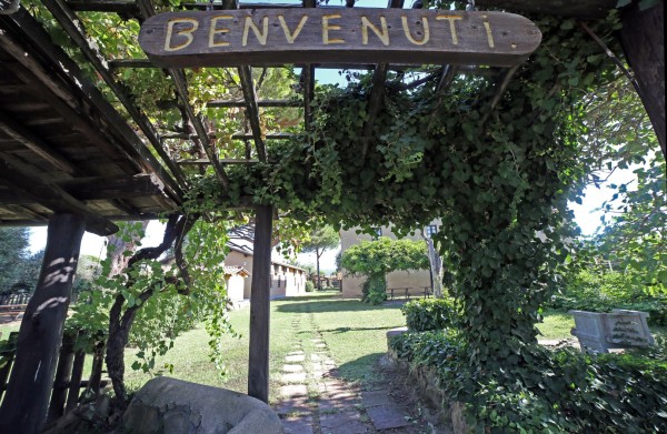 Agriturismo il Vignone (Appartamento da 4 Ospiti C2)