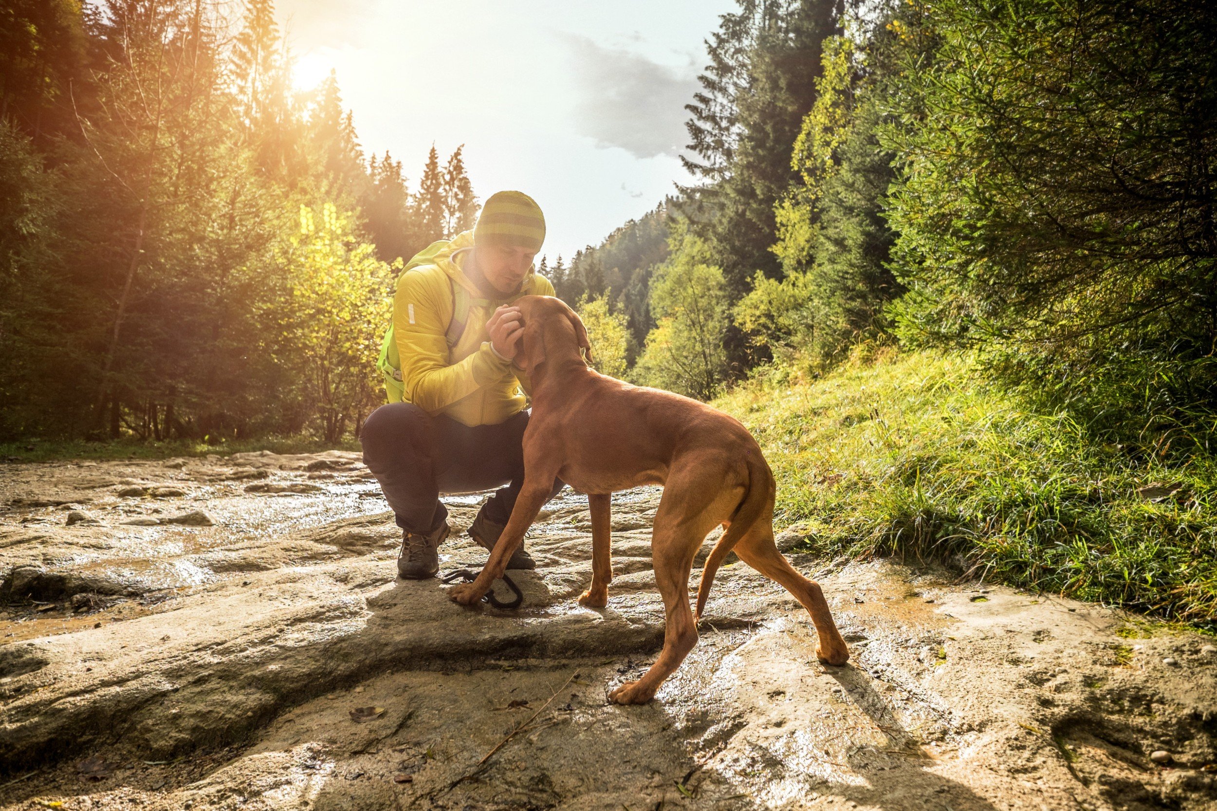 Vacanze estive con il cane in montagna