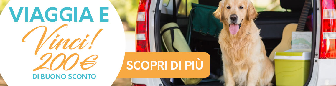 banner_concorso