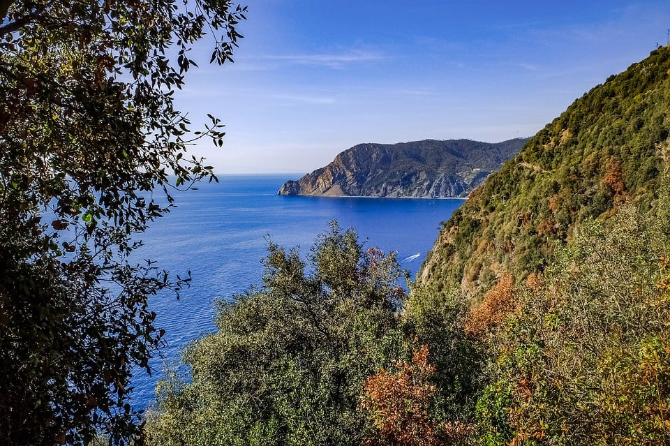 Riviera di Ponente con il Cane: La perfetta destinazione per le tue vacanze