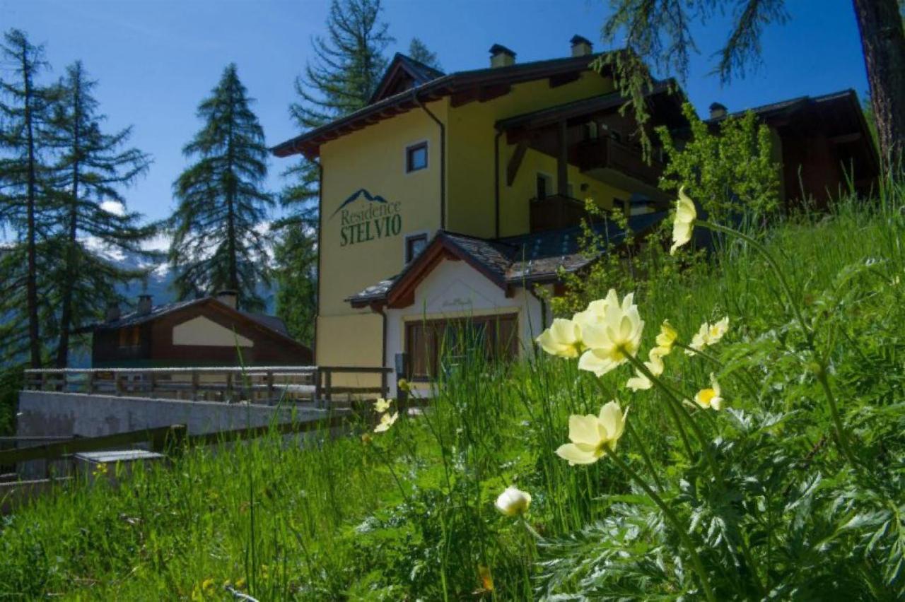 Residence Stelvio Bilocale 4