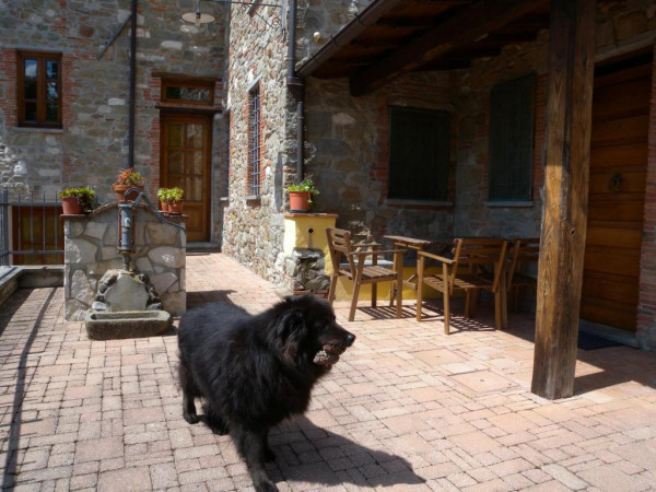 Agriturismo Il Pino - Quercia