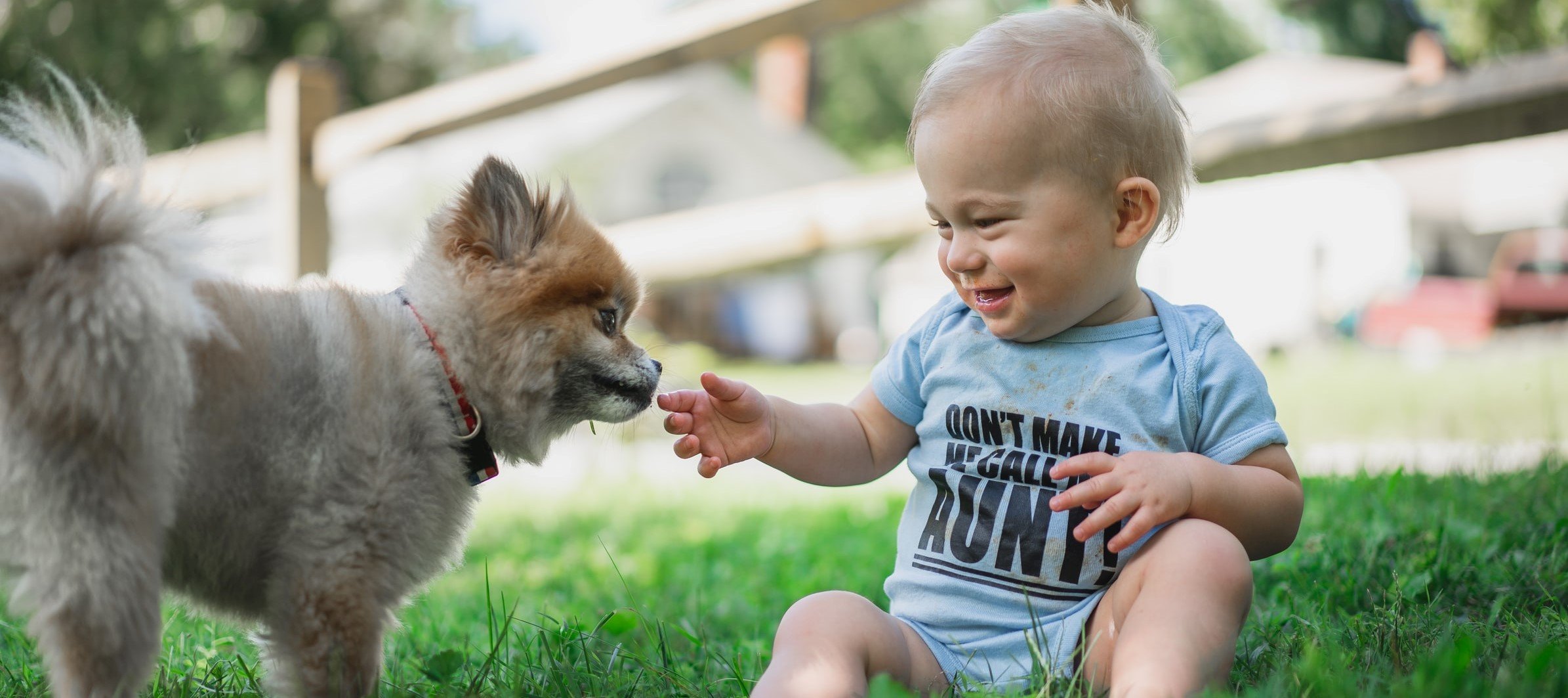 Cani e bambini: come tenerli al sicuro gli uni dagli altri